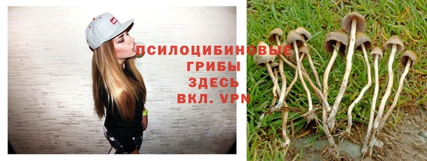 не бодяженный Беломорск