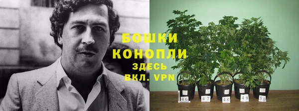 таблы Белокуриха